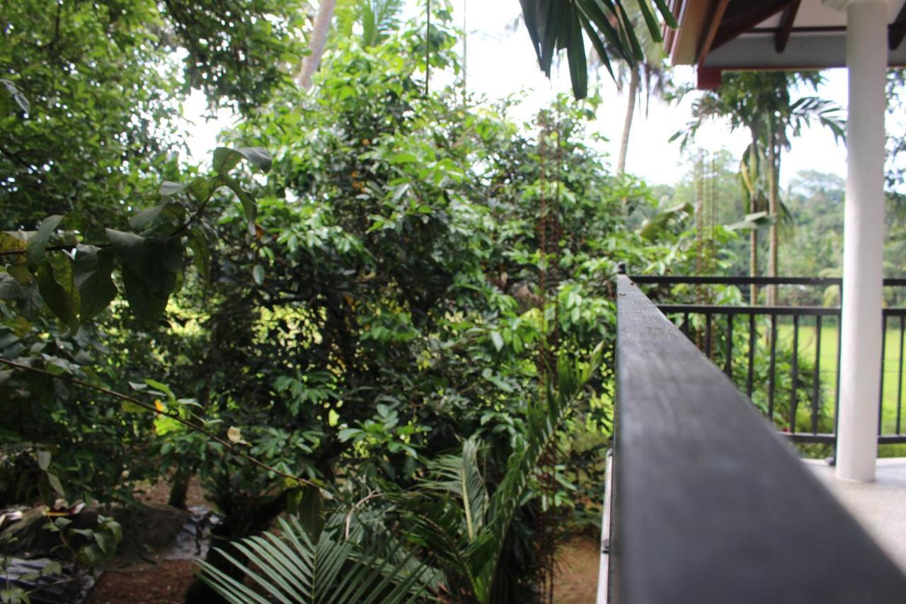 Paddy Field Villa Midigama Midigama East Exterior foto